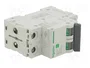 SCHNEIDER ELECTRIC Interruptor magnetotérmico Easy9 Pro 20A 2 polos 6kA