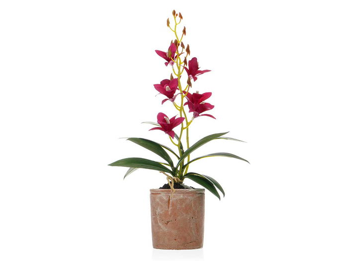 Ibergarden Maceta Terracota Flor Morada 10 cm x 50 cm x 25 cm (Set de 6)