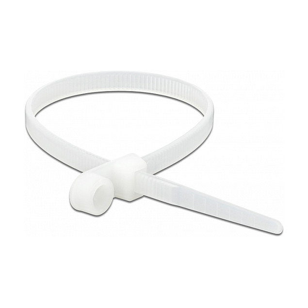 DeLOCK 18946 Brida de entrada paralela con ojal de fijación 300 x 4,8 mm blanco DeLOCK 18946 Brida de entrada paralela con ojal de fijación 300 x 4,8 mm blanco