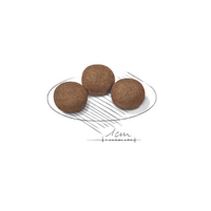 Royal Canin Medium Puppy 15 kg