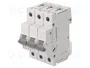 ETI POLAM Interruptor magnetotérmico ETIMAT P10 3P B10 10A 10kA