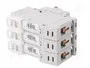 ETI POLAM Interruptor magnetotérmico ETIMAT P10 3P B10 10A 10kA