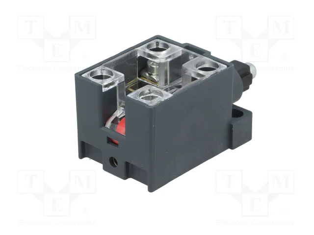 PIZZATO ELETTRICA Interruptor de fin de carrera con émbolo de metal NC x2