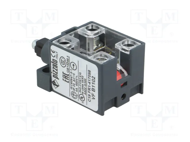 PIZZATO ELETTRICA Interruptor de fin de carrera con émbolo de metal NC x2