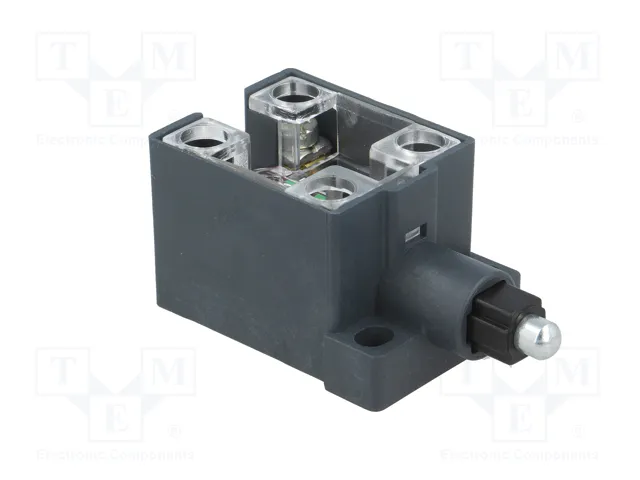 PIZZATO ELETTRICA Interruptor de fin de carrera con émbolo de metal NC x2