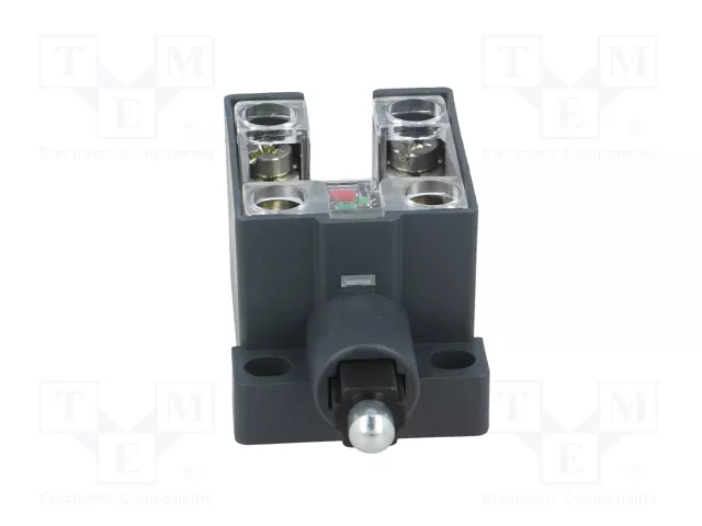 PIZZATO ELETTRICA Interruptor de fin de carrera con émbolo de metal NC x2