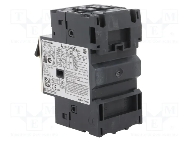 SCHNEIDER ELECTRIC GV2ME02 Interruptor motorizado 0,06kW 2,4A