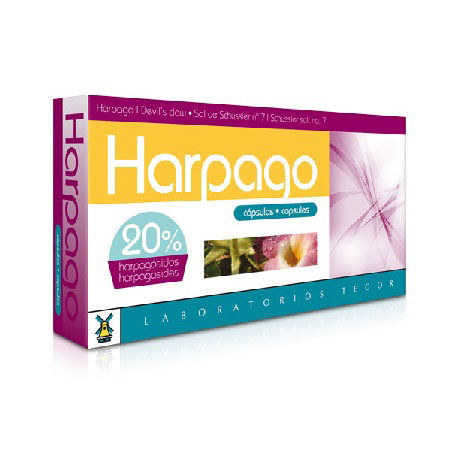 TEGOR Harpago 40 Cápsulas TEGOR Harpago 40 Cápsulas