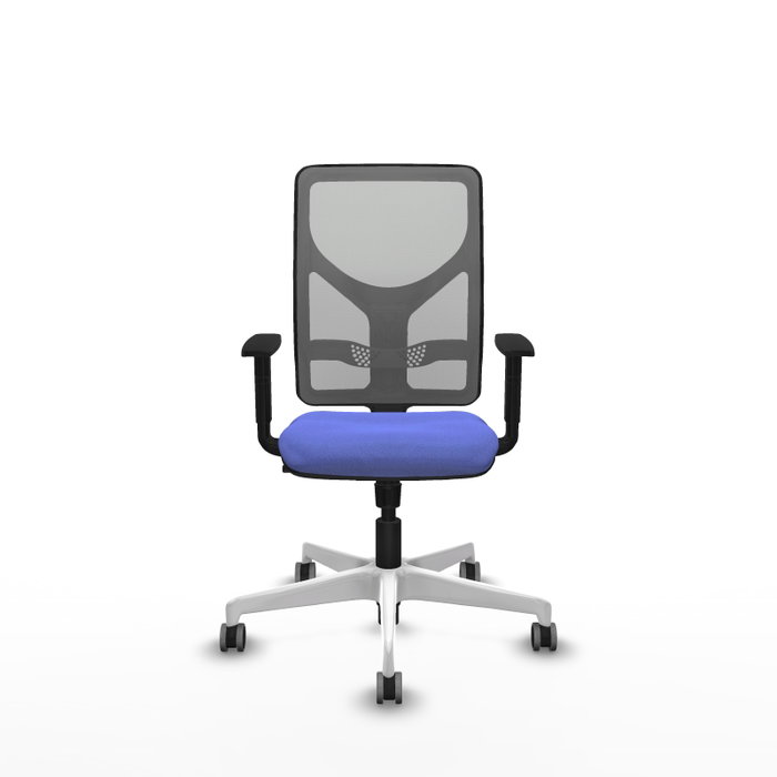 PIQUERAS Y CRESPO Silla de oficina Motilla con mecanismo Sincro, Azul claro y Gris PIQUERAS Y CRESPO Silla de oficina Motilla con mecanismo Sincro, Azul claro y Gris