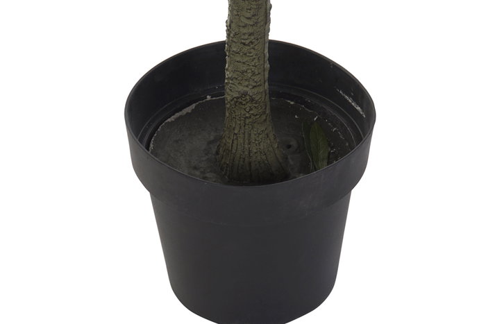 DKD Home Decor Árbol de Olivo Verde 50x50x142 cm