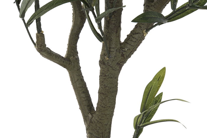 DKD Home Decor Árbol de Olivo Verde 50x50x142 cm