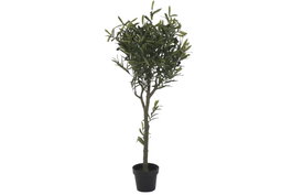 DKD Home Decor Árbol de Olivo Verde 50x50x142 cm
