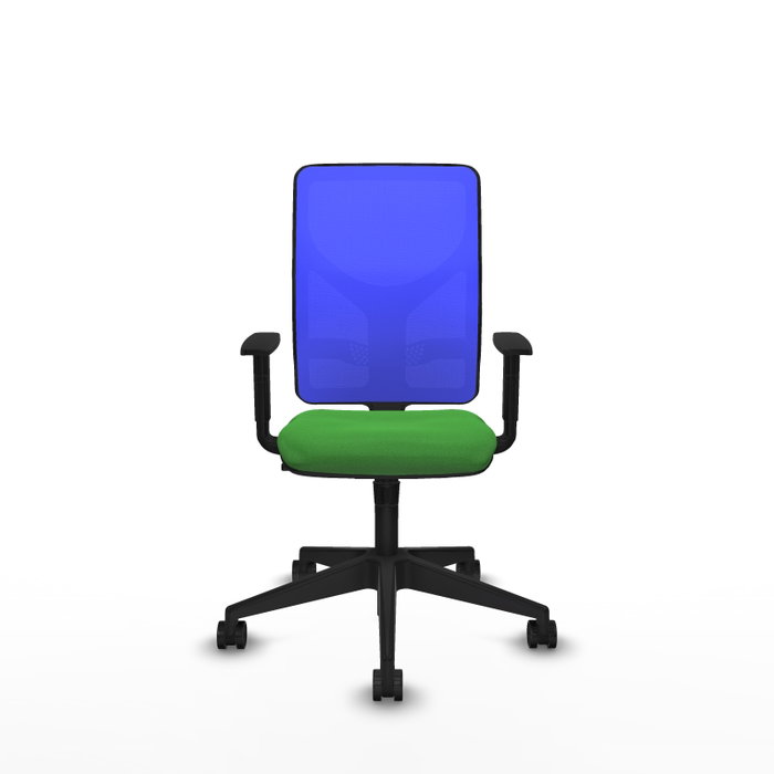 PIQUERAS Y CRESPO Silla de oficina Motilla con mecanismo Sincro, Tela Verde y Malla Azul PIQUERAS Y CRESPO Silla de oficina Motilla con mecanismo Sincro, Tela Verde y Malla Azul