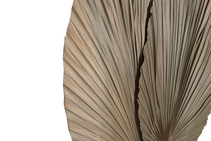 DKD Home Decor Decoración de Hoja de Palmera Natural 3 Hojas