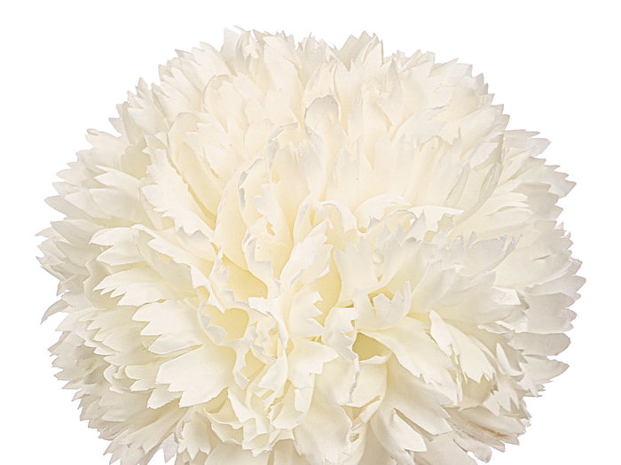 Ibergarden Vara Ramo 5 Pompones Blanco 57 cm Plástico 20x57x20 cm (Set de 12)