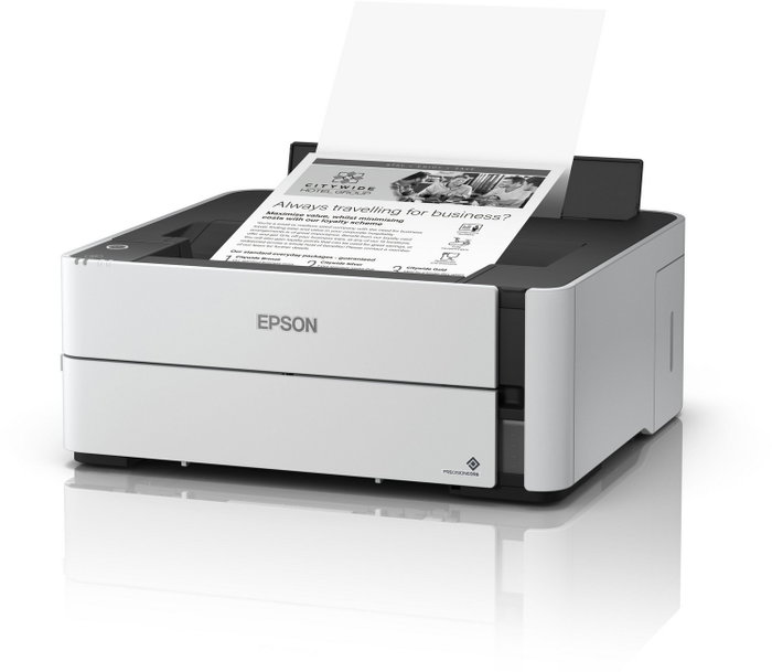 Epson M1170 Impresora de Inyección de Tinta Monocromática Gris