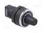 EMAS Potenciómetro Monovuelta 10kΩ 22mm IP65