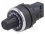 EMAS Potenciómetro Monovuelta 10kΩ 22mm IP65