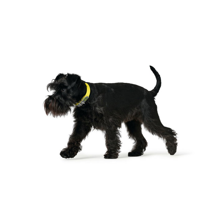 Hunter Collar Convenience Cuello 47-55cm L Amarillo