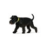 Hunter Collar Convenience Cuello 47-55cm L Amarillo