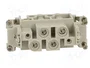LAPP Conector HDC EPIC® K Hembra 4 PIN 80A