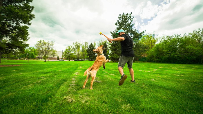 Hunter Flingerz Pelota para Perro de Goma Resistente con Lanzador Rellenable para Snacks con Silbido y Flotante