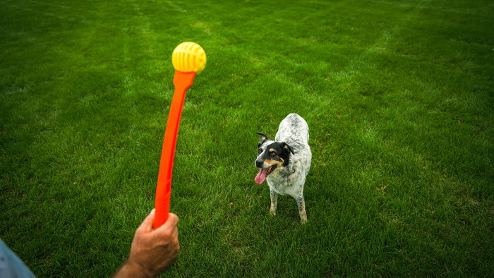 Hunter Flingerz Pelota para Perro de Goma Resistente con Lanzador Rellenable para Snacks con Silbido y Flotante