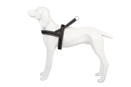 Freedog Arnés Shiva Sport Gris XXS 15 mm para Perro con Contorno de Pecho de 42-50 cm