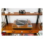 Lenco LS-55WA Walnuss