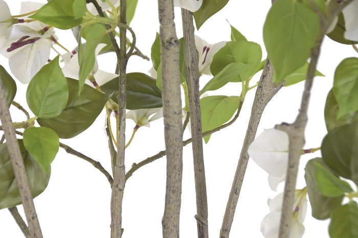 DKD Home Decor Árbol Artificial Buganvilla Blanco Verde 60x60x170 cm 2 Unidades DKD Home Decor Árbol Artificial Buganvilla Blanco Verde 60x60x170 cm 2 Unidades