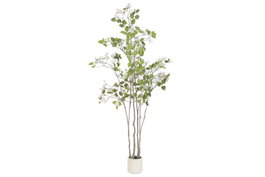 DKD Home Decor Árbol de Buganvilla en Poliéster y Cemento 60x60x170 cm