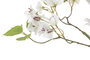 DKD Home Decor Árbol Artificial Buganvilla Blanco Verde 60x60x170 cm 2 Unidades