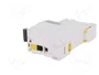 SCHNEIDER ELECTRIC iC60N ACTI9 1 Polo 6A Característica D