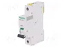 SCHNEIDER ELECTRIC iC60N ACTI9 1 Polo 6A Característica D