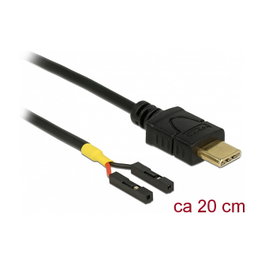 DeLOCK 85395 Cable USB Tipo C a 2 conectores de pines hembra de 20 cm