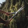 Fiskars PowerGear Hedge Shear X HSX92 Tijeras de podar setos con sistema de palanca, color naranja y negro (1023631)