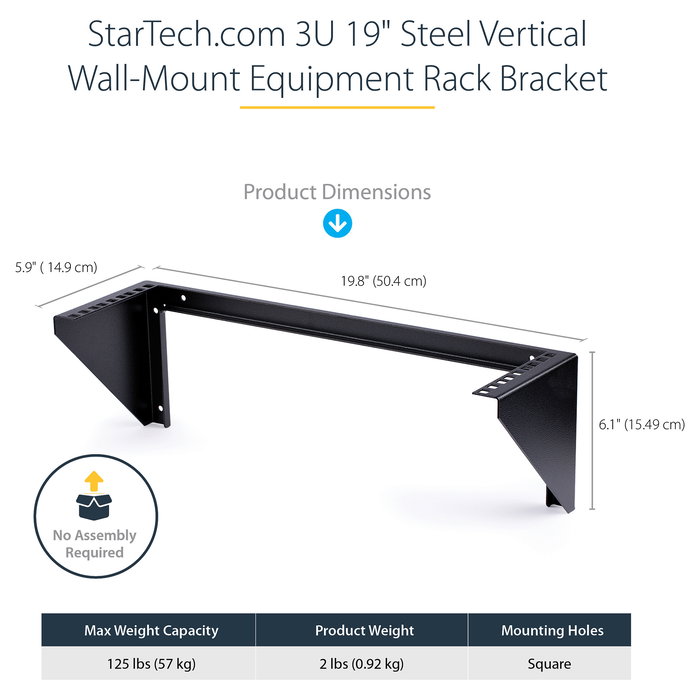 Rack Startech RK319WALLV Vertical