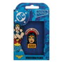 FaNaTtik Chapa DC Comics Wonder Woman Amazon Warrior Limited Edition