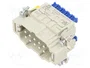 HARTING Han 10ES-Press-SMC-MI-CCT-PE Press Conector HDC Macho 10 Pines