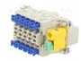 HARTING Han 10ES-Press-SMC-MI-CCT-PE Press Conector HDC Macho 10 Pines