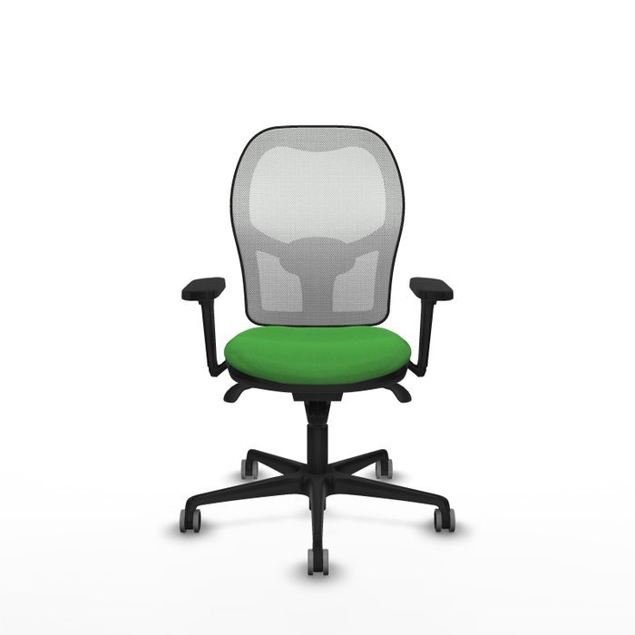 PIQUERAS Y CRESPO Silla de oficina Jorquera con mecanismo Sincro, Tela Verde y Malla Blanca PIQUERAS Y CRESPO Silla de oficina Jorquera con mecanismo Sincro, Tela Verde y Malla Blanca