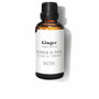 Daffoil Aceite Esencial de Jengibre Fresco 100 ml