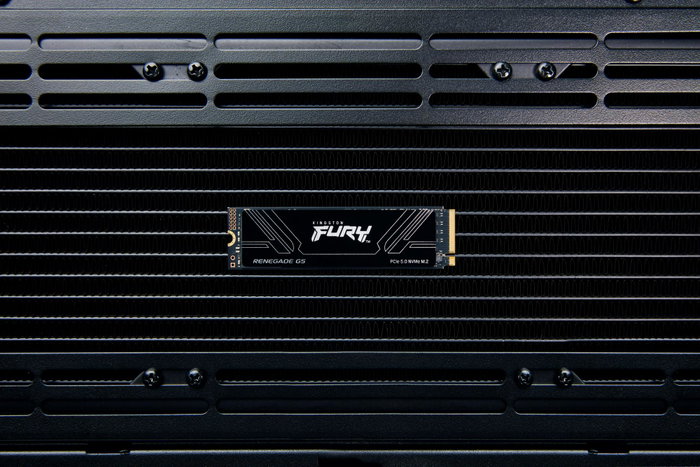 Kingston FURY Renegade G5 M.2 2280 NVMe SSD 8 TB