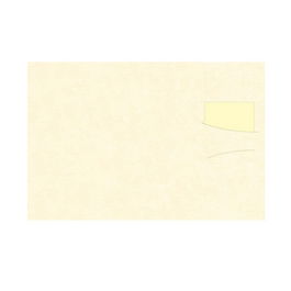 Duni Mantel Duetto Dunisoft de Celulosa 30x43 cm con Servilleta Vainilla, para Eventos de Un Solo Uso, Caja de 150 Unidades - Mantel Individual Desechable