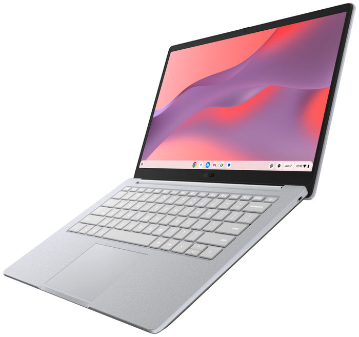 ASUS Chromebook CM14 CM1405CM4A-S60142 14 pol. Full HD Gris Puro