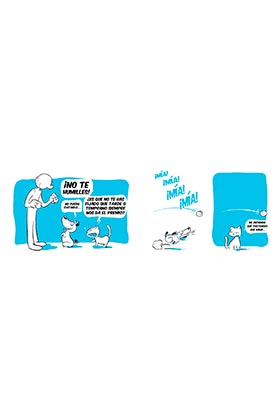 Perros Vs Gatos