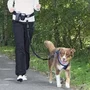TRIXIE Cinturón para Perro con Correa Manos Libres, Nylon Resistente, Hasta 40kg, Correa Elástica Extensible con Amortiguación, Bolsillos y Tiras Reflectantes, Negro