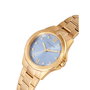 Reloj Mujer Pierre Cardin CF.1009.MG.2 (Ø 34 mm)