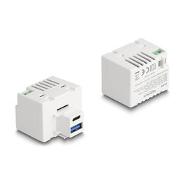 DeLOCK Módulo Keystone con Puerto de Carga USB Tipo-A y USB Type-C PD 20 W, Blanco, Plano, Terminal, Hembra, 41.2 mm