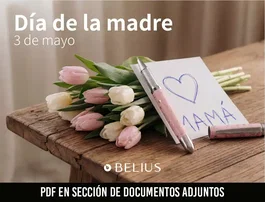 Belius Lote Escritura Día de la Madre - 11 Piezas + 2 Regalo + 2 Carteles Diseño + 10 Postales - Set de Plumas, Rollers y Bolígrafos de Alta Calidad